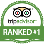 tripadvisor-nr1-Circle